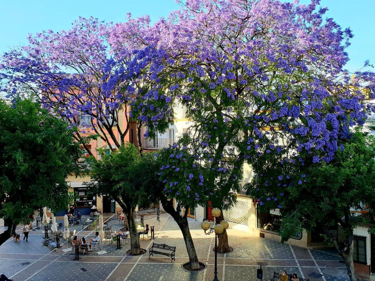 Sherryflat Senovilla Jerez de la Frontera Bagian luar foto